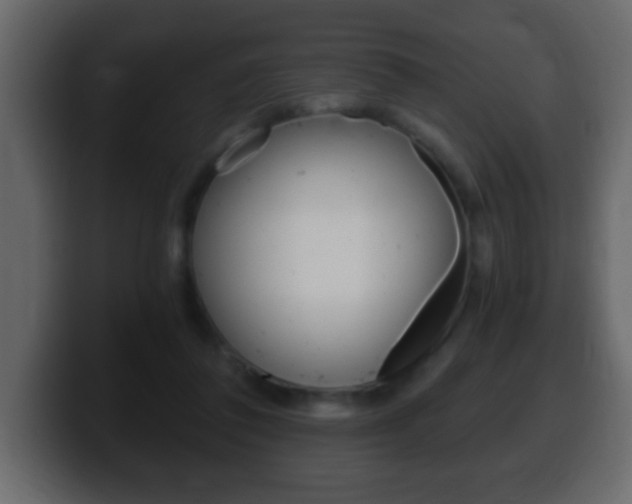 X0000100400308200806060900