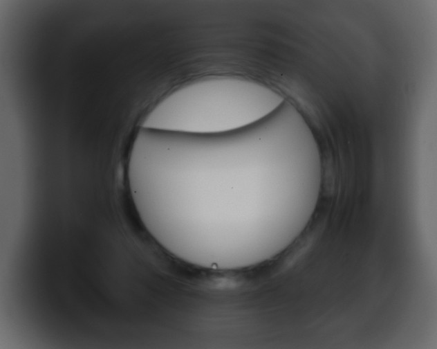 X0000100400310200806060900