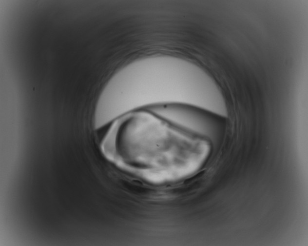 X0000100400316200806060900