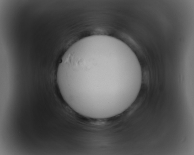 X0000100400318200806060900