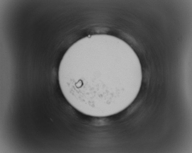 X0000100400321200806060859