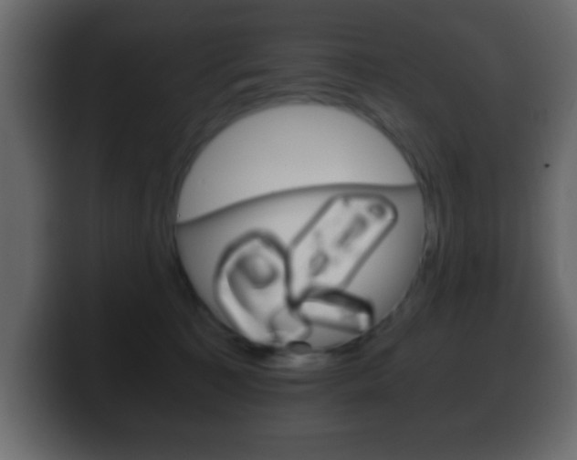 X0000100400323200806060859