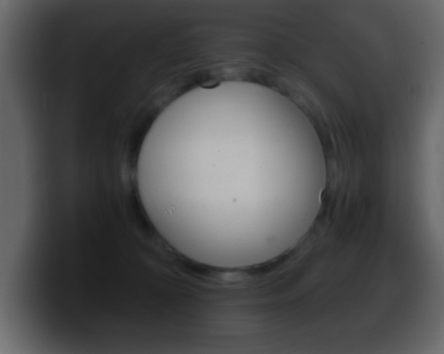 X0000100400324200806060859