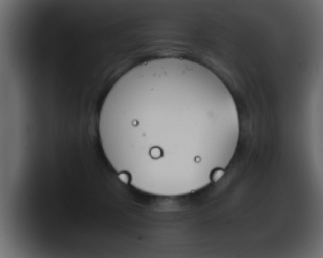 X0000100400325200806060859