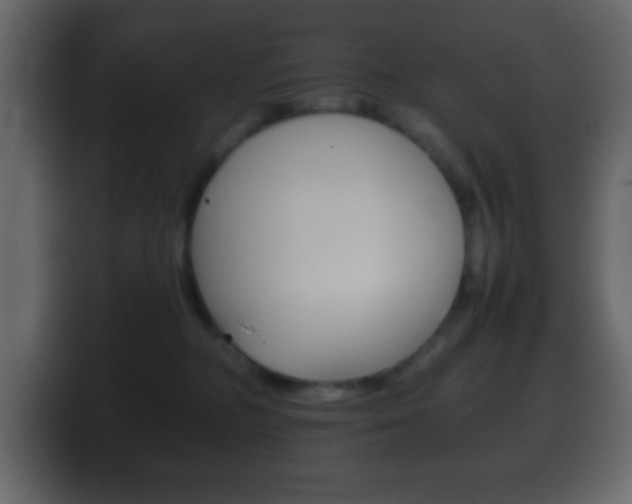 X0000100400326200806060859