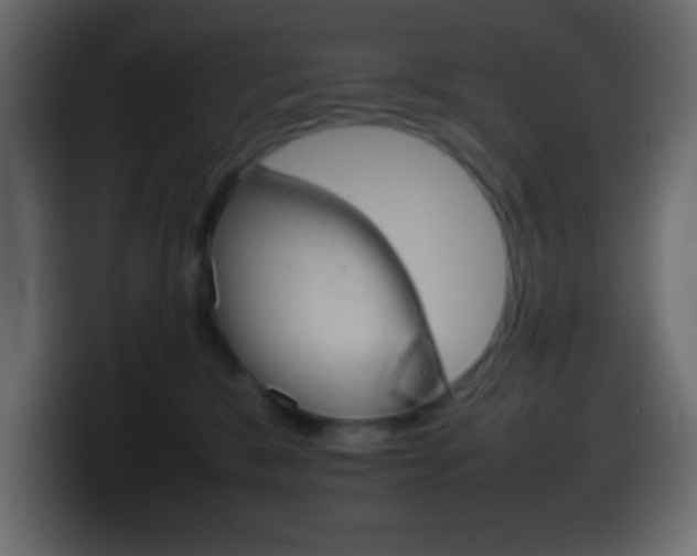 X0000100400327200806060859