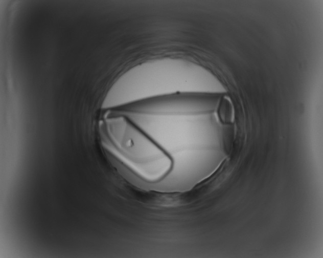 X0000100400328200806060859