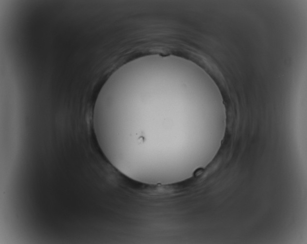 X0000100400329200806060859
