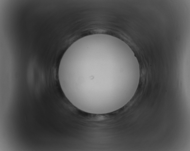 X0000100400330200806060859