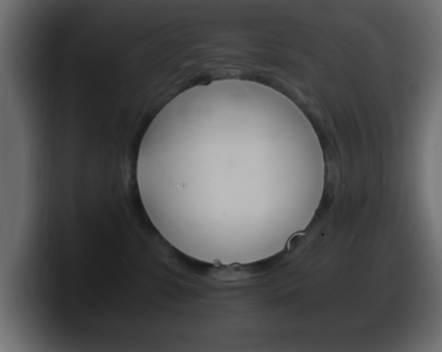 X0000100400331200806060859