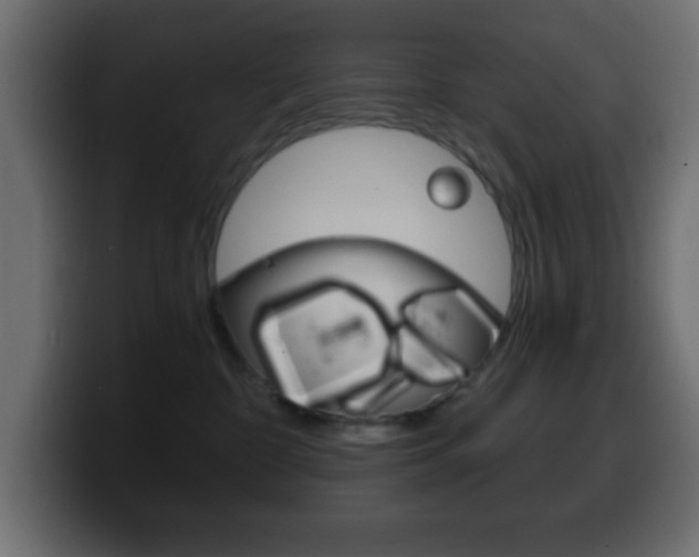 X0000100400332200806060859
