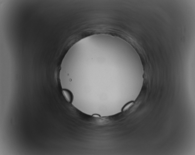 X0000100400333200806060859