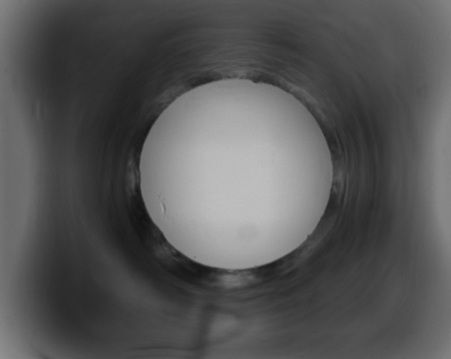 X0000100400334200806060859
