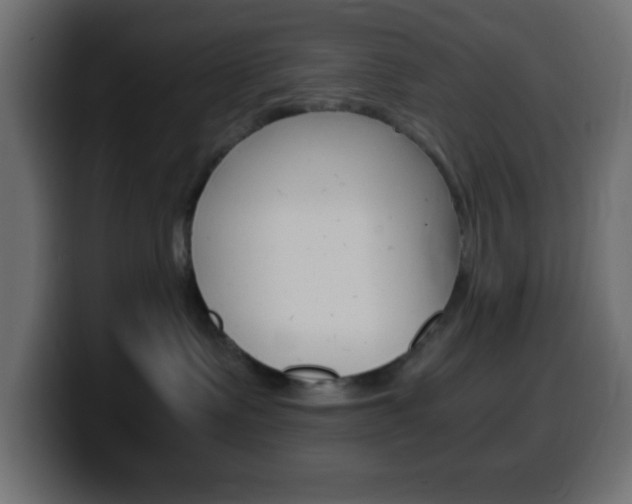 X0000100400335200806060859