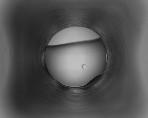 X0000100400336200806060859