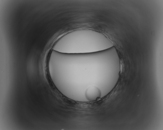 X0000100400339200806060859