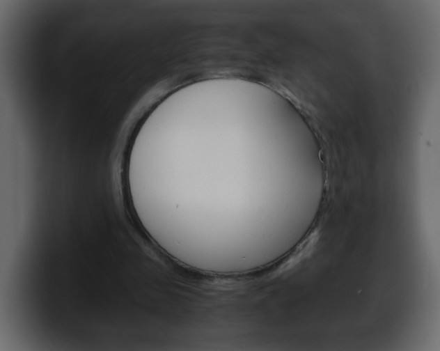 X0000100400341200806060859