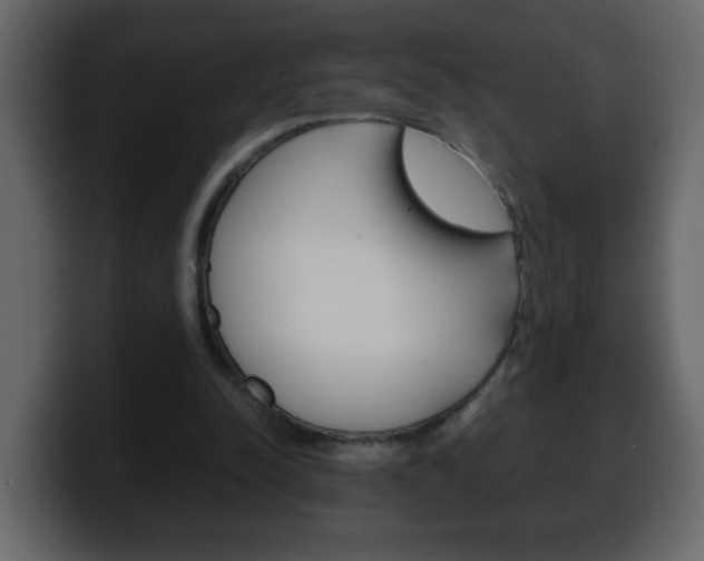 X0000100400342200806060859