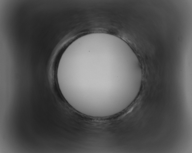 X0000100400343200806060859