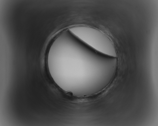 X0000100400344200806060859