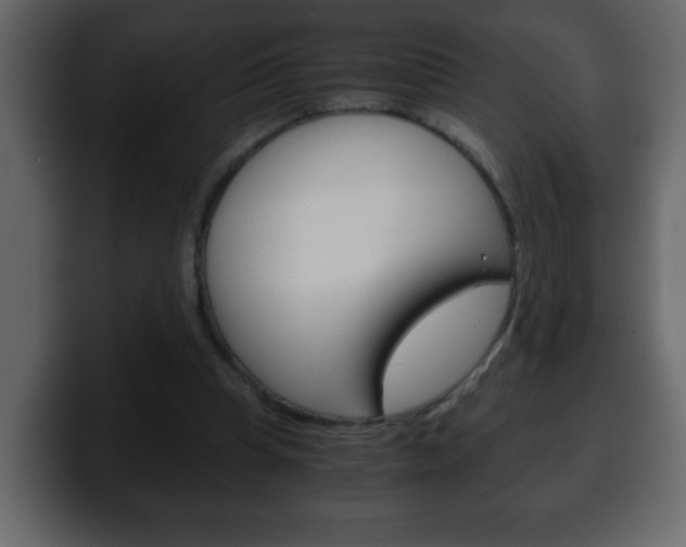 X0000100400345200806060859