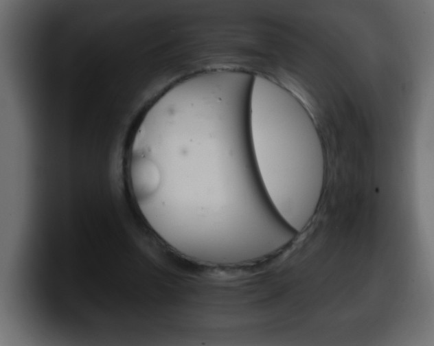 X0000100400346200806060859