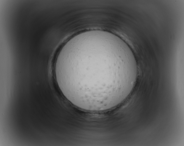 X0000100400347200806060859