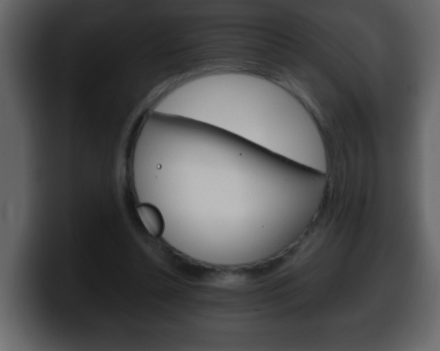 X0000100400348200806060859