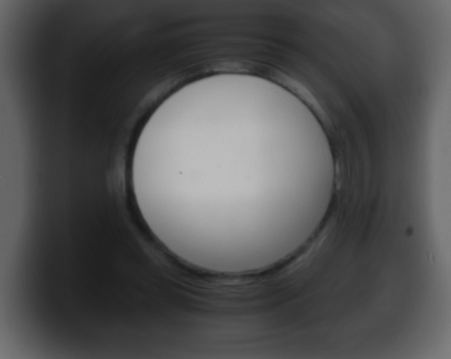 X0000100400349200806060859
