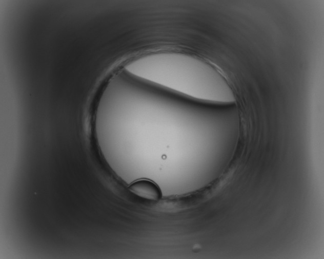 X0000100400350200806060859