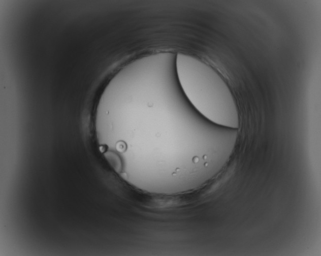 X0000100400351200806060859