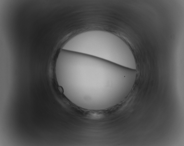 X0000100400352200806060859