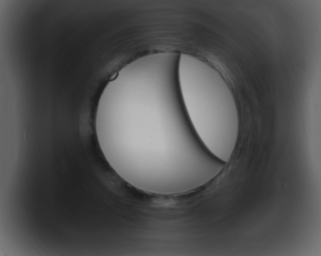 X0000100400354200806060859