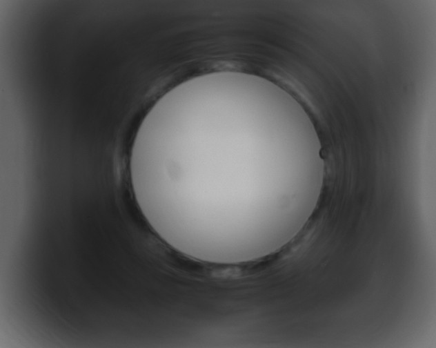X0000100400355200806060859