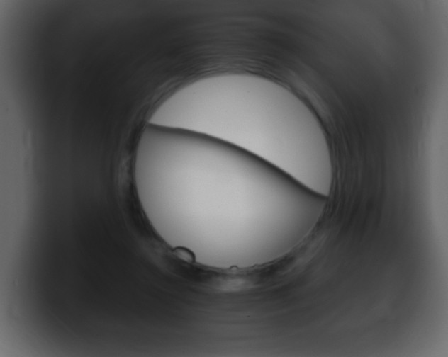 X0000100400356200806060859