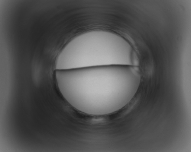 X0000100400357200806060859