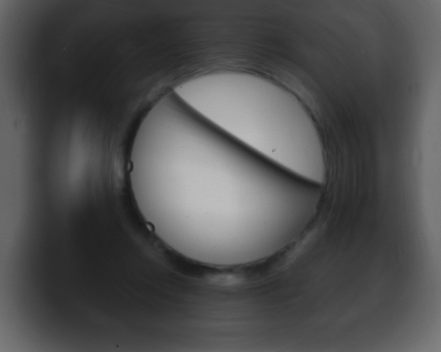 X0000100400358200806060859