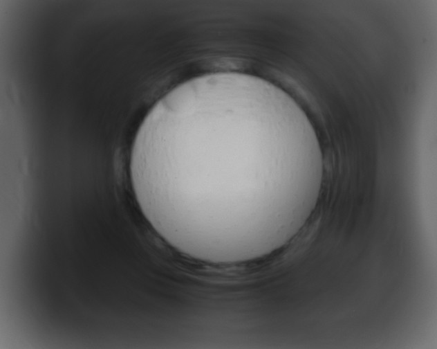 X0000100400359200806060859
