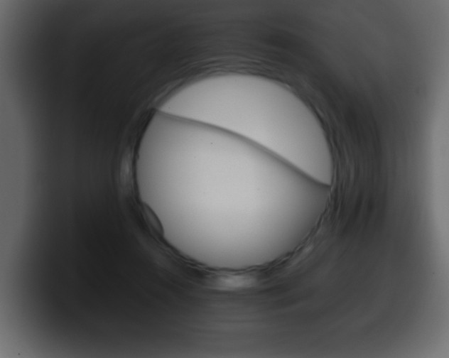 X0000100400360200806060859