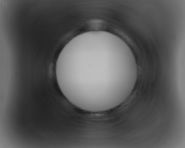 X0000100400361200806060859