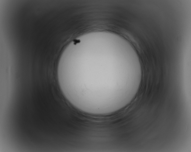 X0000100400362200806060859