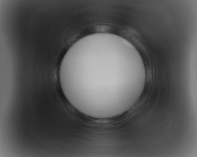 X0000100400363200806060859
