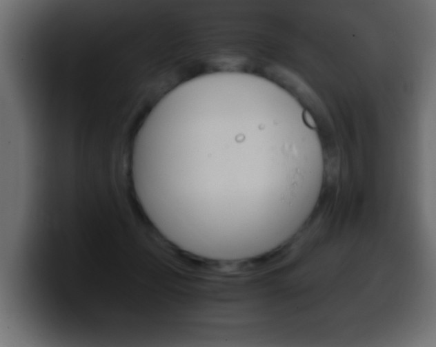 X0000100400365200806060859