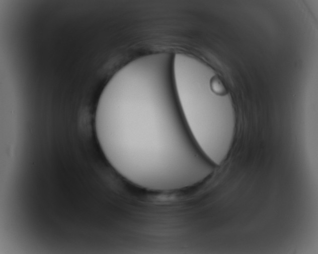 X0000100400366200806060859