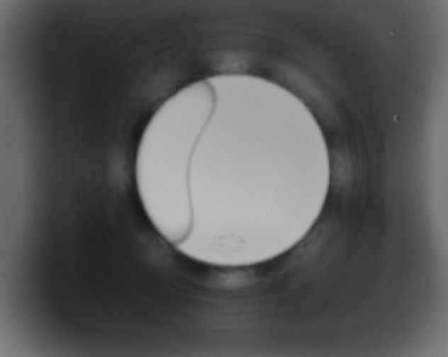 X0000100400370200806060859