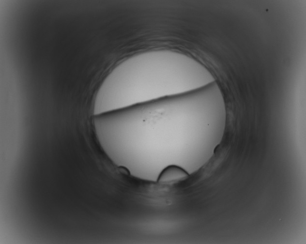 X0000100400373200806060859