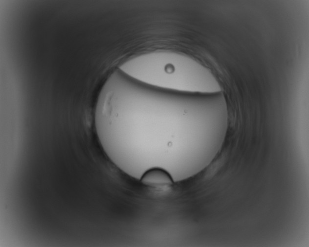 X0000100400374200806060859