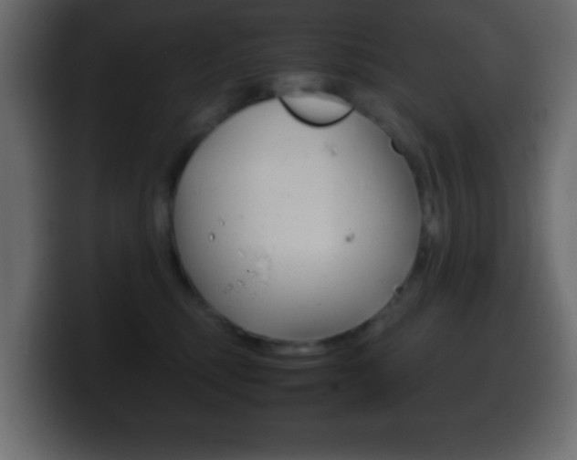 X0000100400375200806060859