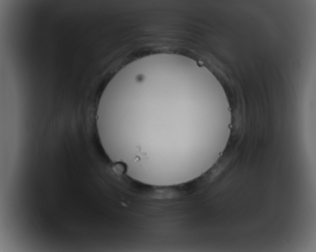 X0000100400376200806060859