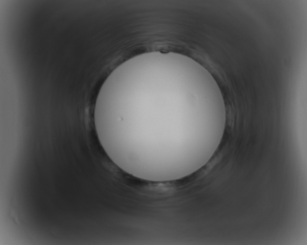 X0000100400378200806060859